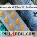 Anaconda Xl Pills Where To Buy 44
